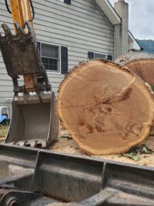 Gallery Tree Removal Waynesville 20190806 122512 M & S Tree