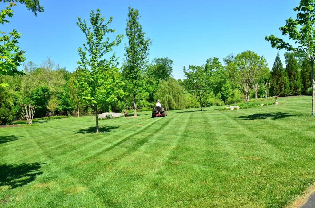 Lawn Care Tree Removal Waynesville Lawn Care And Landscaping Waynesville NC3 M & S Tree