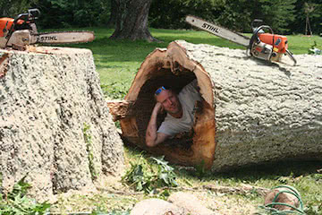 Home Tree Removal Waynesville img 1603 u513 fr M & S Tree